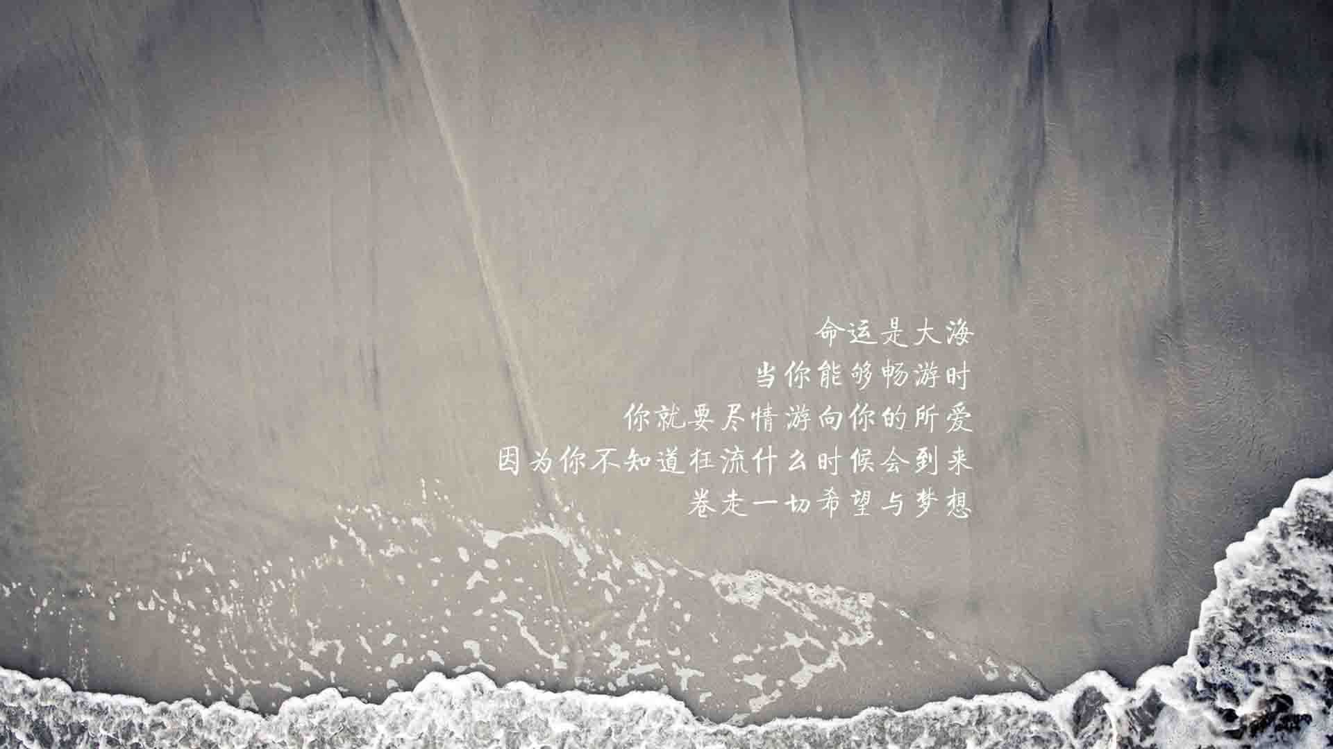 球场奇迹：历史上最难以置信的逆转战役，球场事件