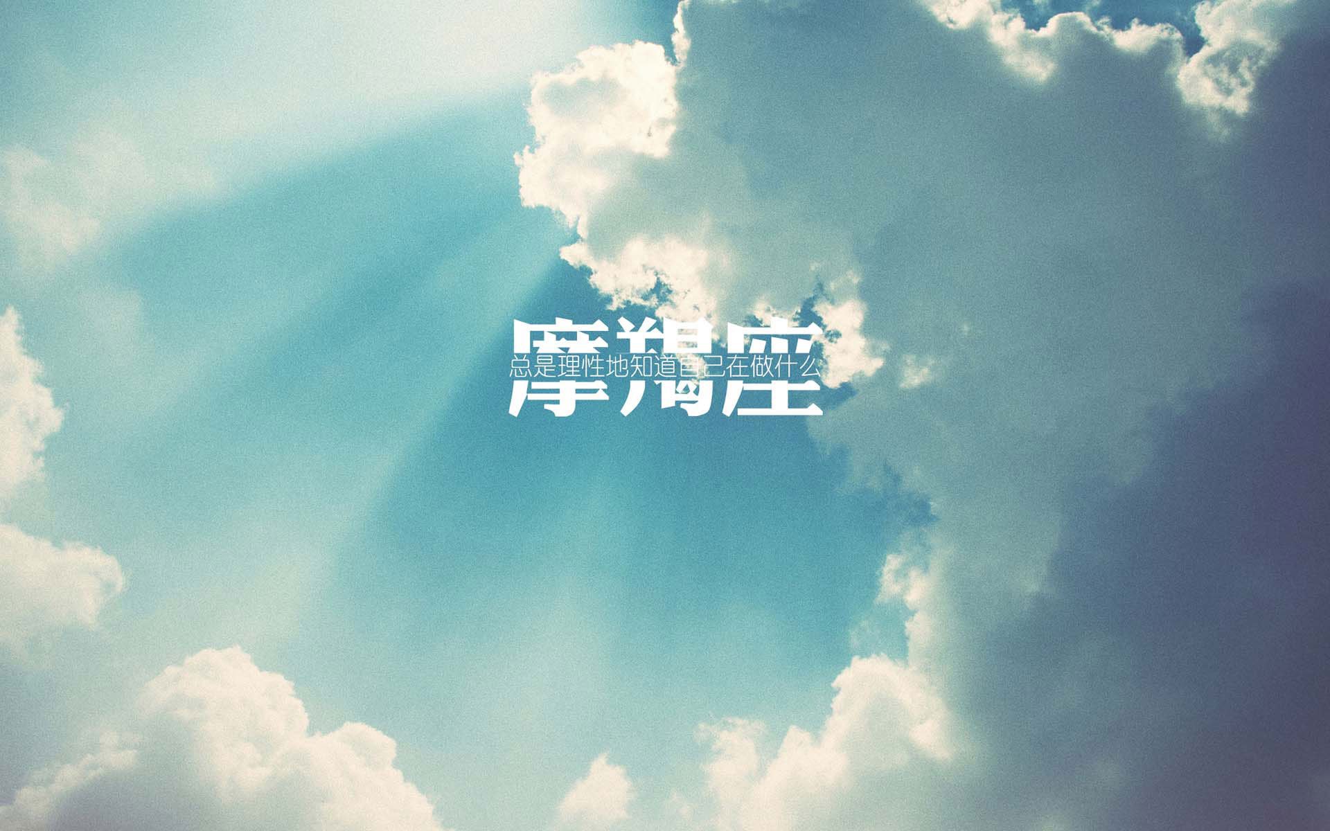 荷兰马术协会建立马匹基因数据库，促进马匹选育与训练。，荷兰马长什么样