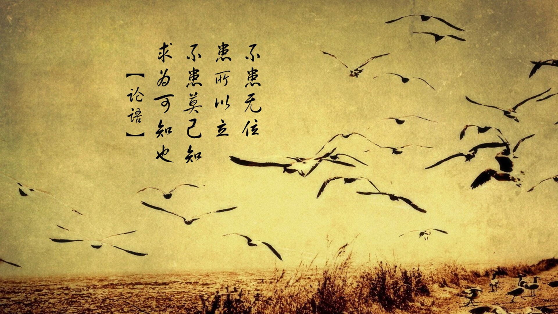 体育界重拳出击，足球比赛不断升温，足球比赛即将拉开帷幕,队员们彼此发出
