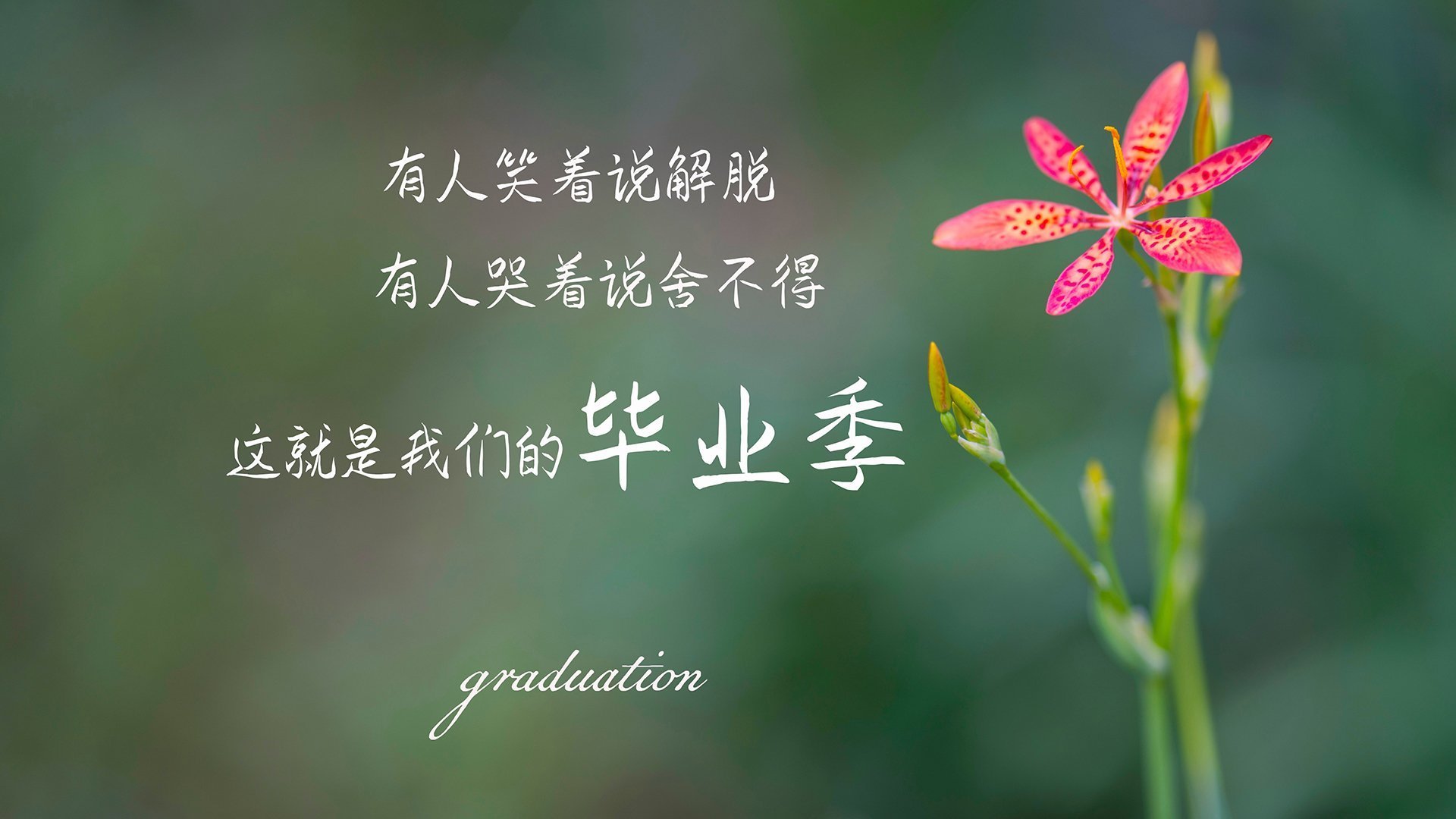伯明翰市新援迅速融入，蓝军重燃晋级希望，伯明翰fm