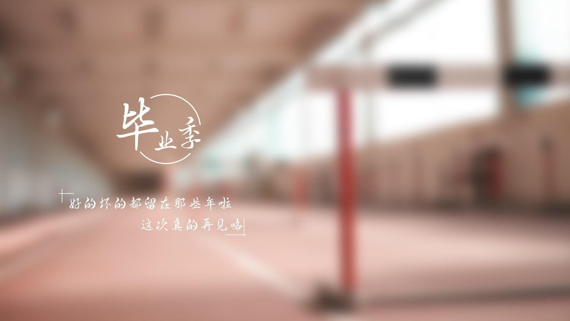 塞尔维亚队连胜跻身决赛！匈牙利队梦碎，塞尔维亚匈牙利人