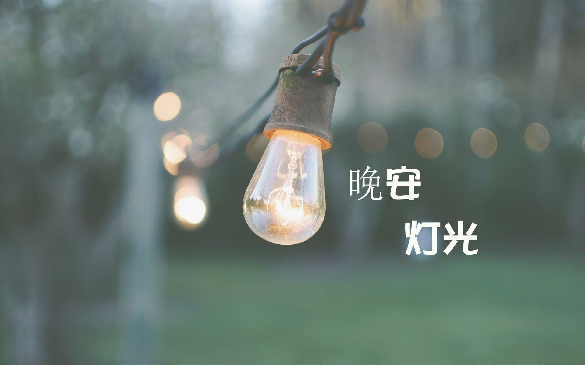 加拿大队未来发展路径：如何通过精准战术打破现有困局，加拿大队长百科