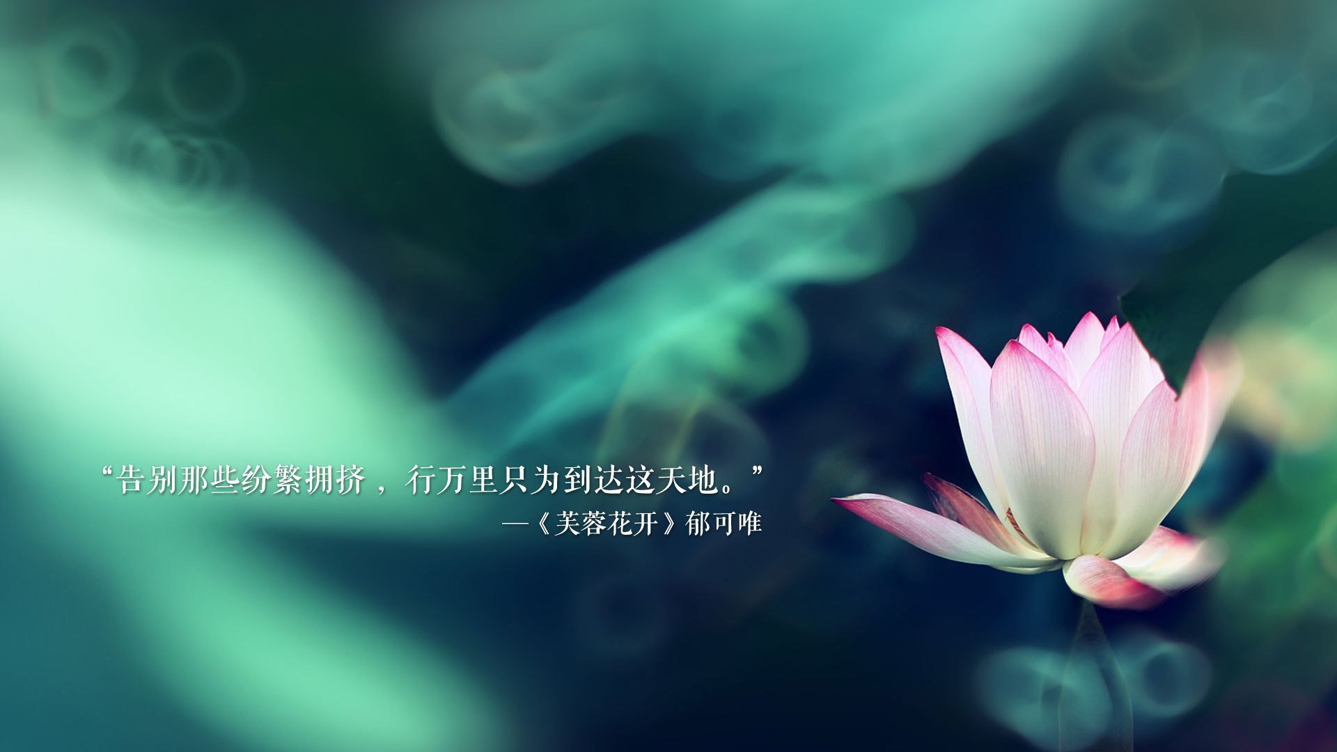 世界杯精彩纷呈：每一场都令人激动！，世界杯精彩纷呈_每一场都令人激动