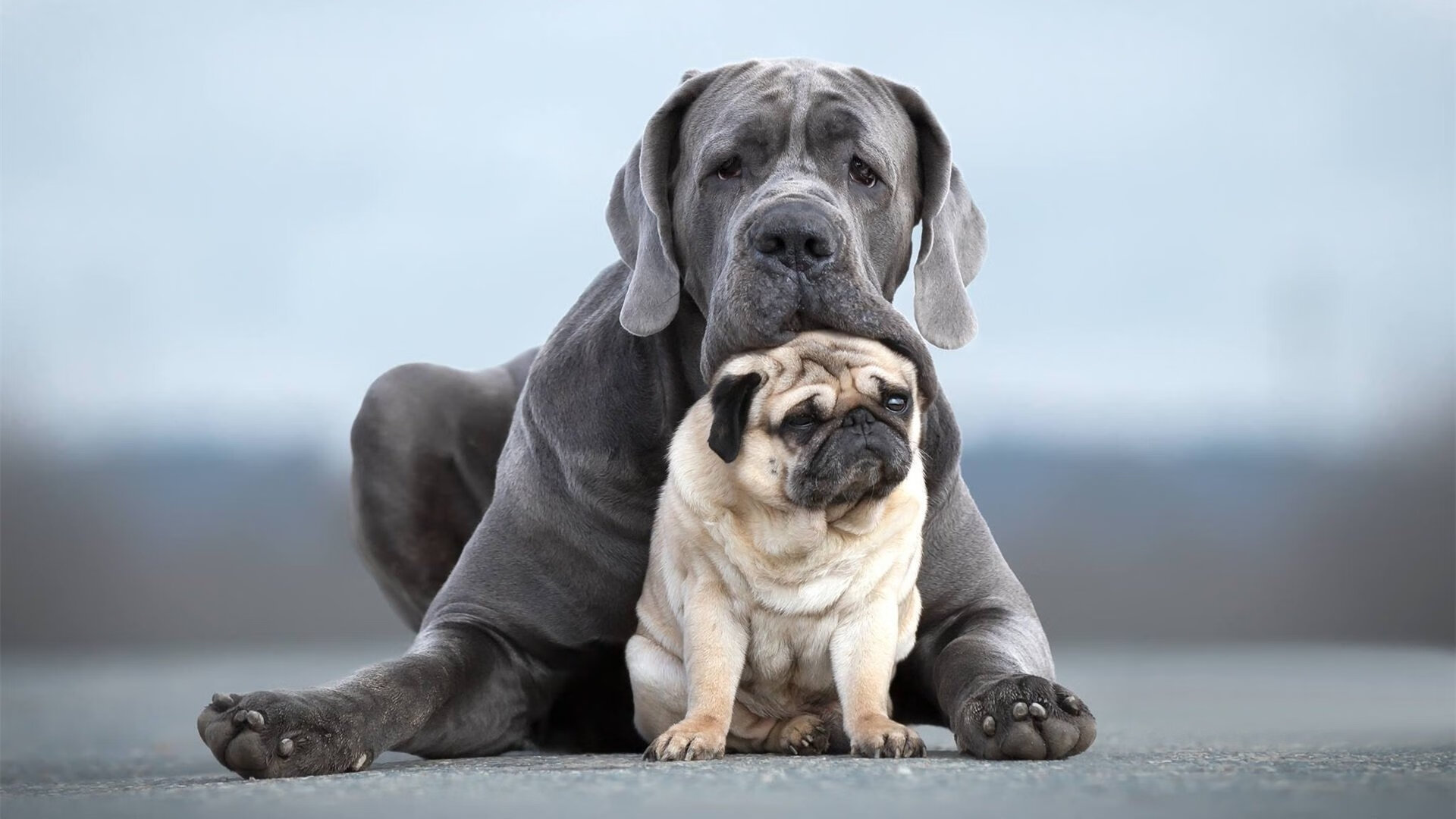 九游网页版官网-多哥男篮在非洲锦标赛中力争佳绩，强化国家篮球