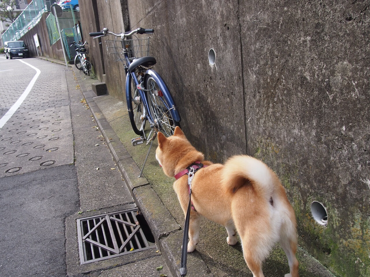 女子联赛推动差旅标准升级保障球员参赛舒适度