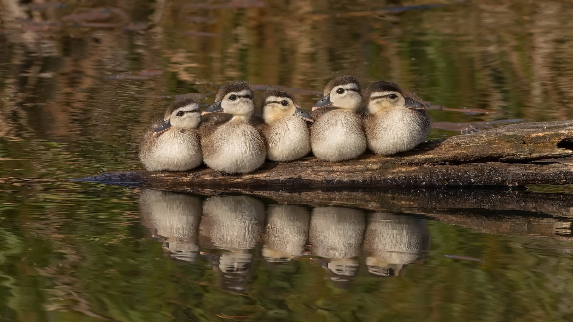 欧洲杯阵型创新:奇思妙想引领新潮!,欧洲杯阵出炉