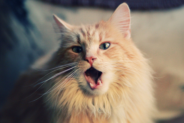 职业联盟宣布新规细化球员转会流程提升透明度和公平性,球员转会工资会降吗